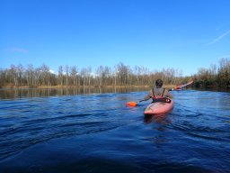 Groschenwasser, Februar 2026